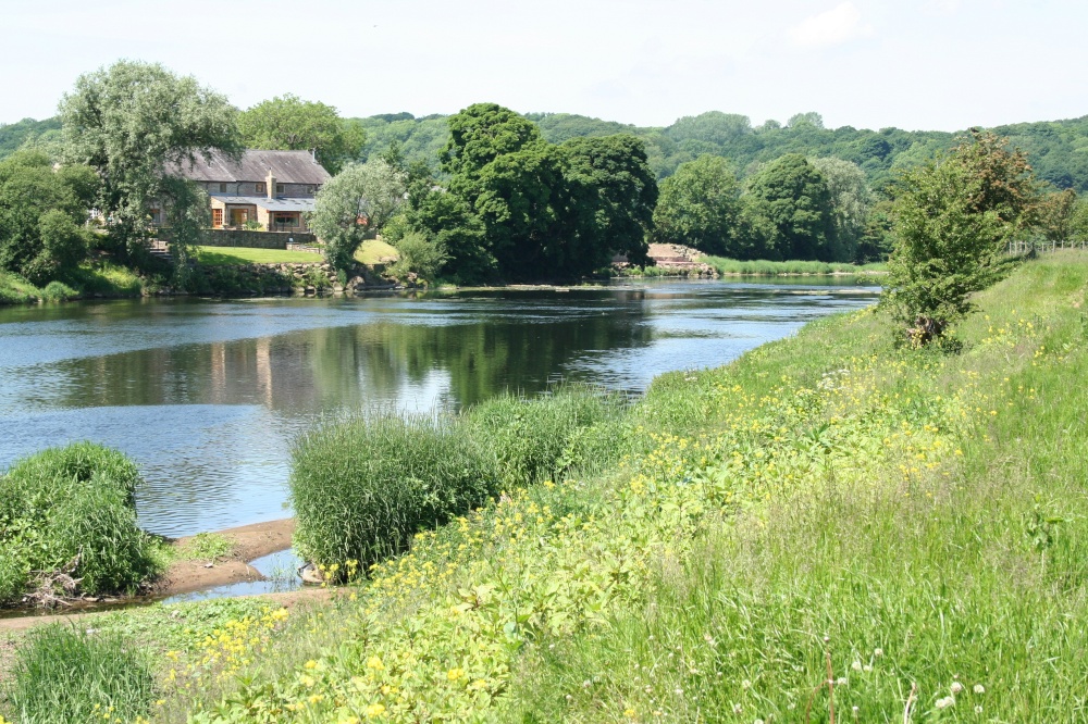 Walk along the river