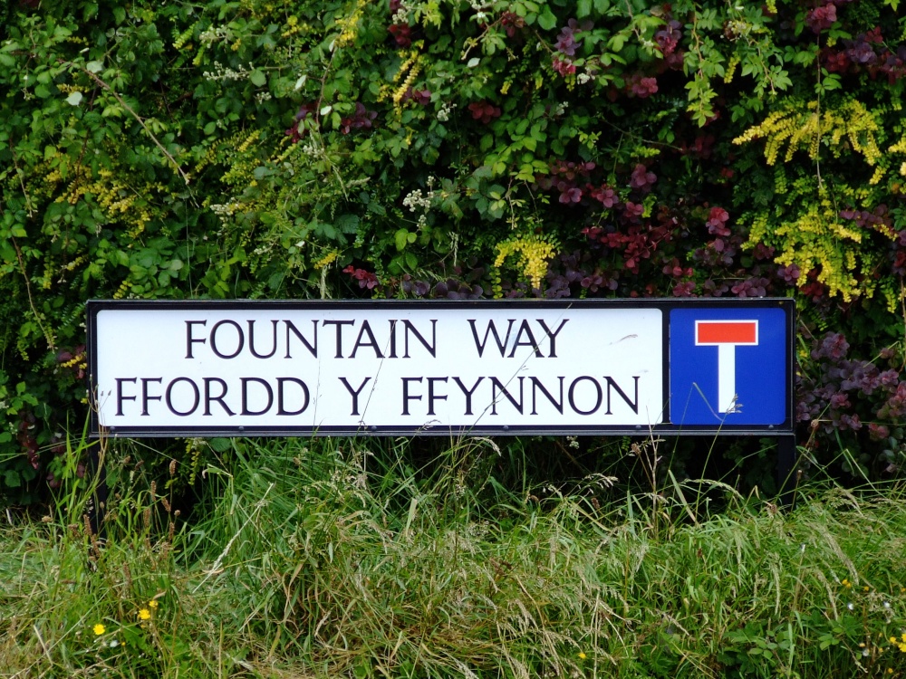 A little cul-de-sac in Thornwell