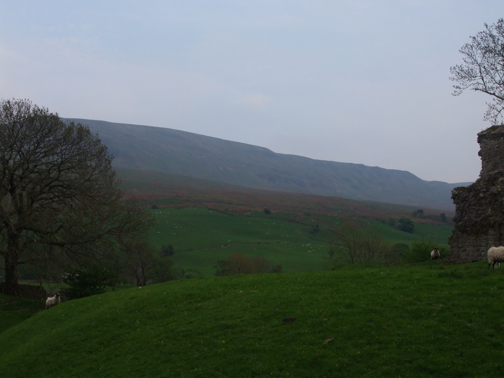 Photograph of Looking up  the valley