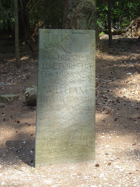 The New Forest (Hampshire)