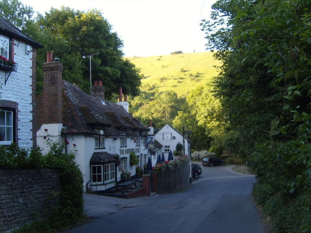 The Shepherd and Dog