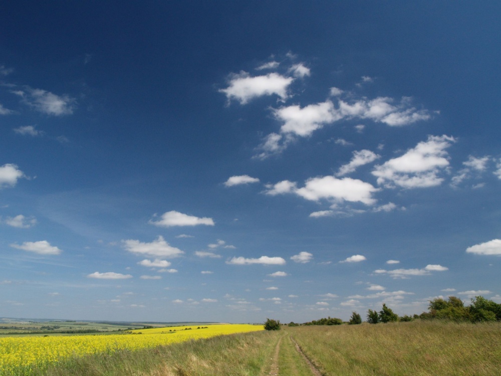 The Ridgeway, near West Ilsley, Berkshire