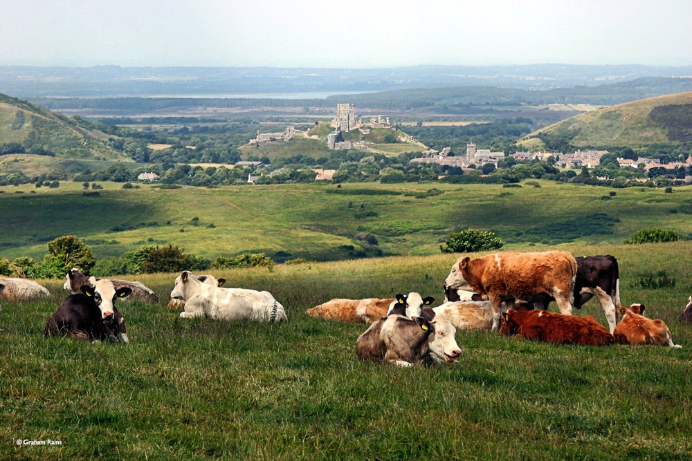 Photo of Kingston in Dorset