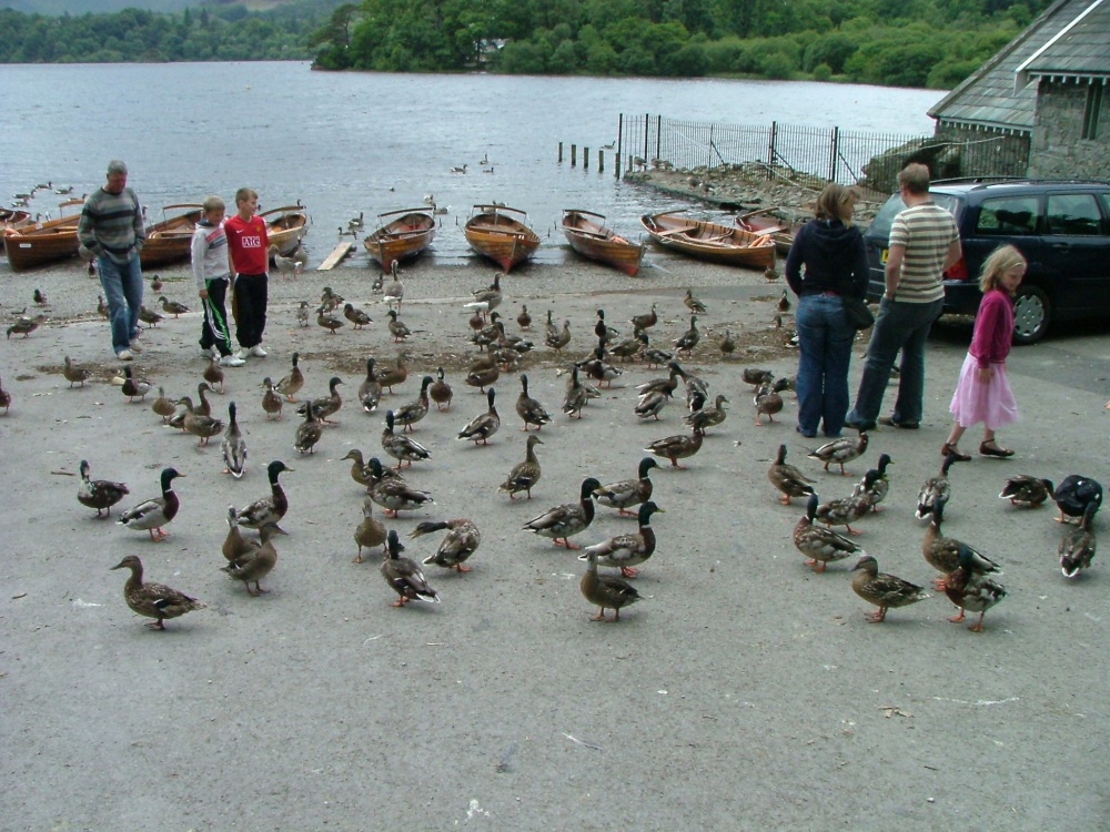 A view of Derwentwater