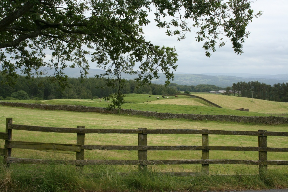 Countryside around Hurst Green
