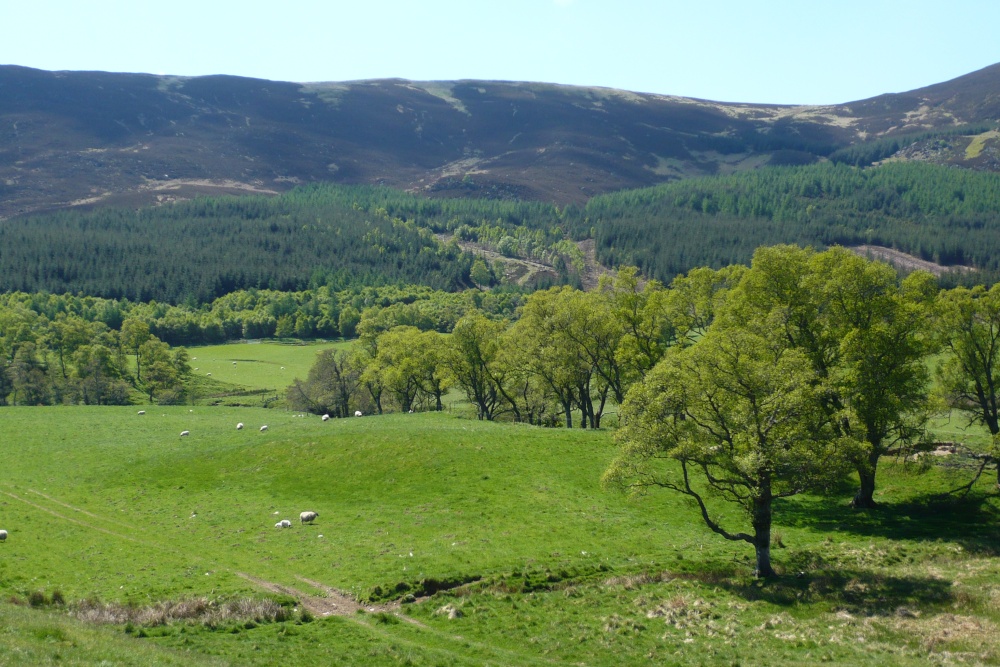 Glen Clova