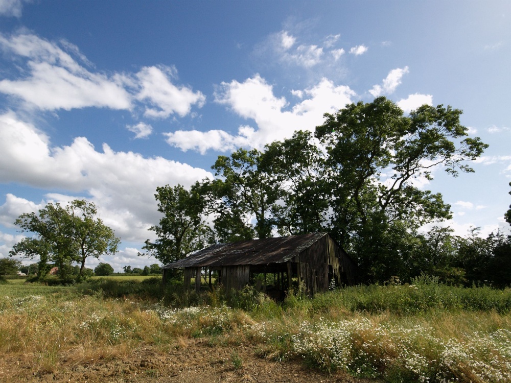 Semi-derelict barn near Mursley, Bucks.