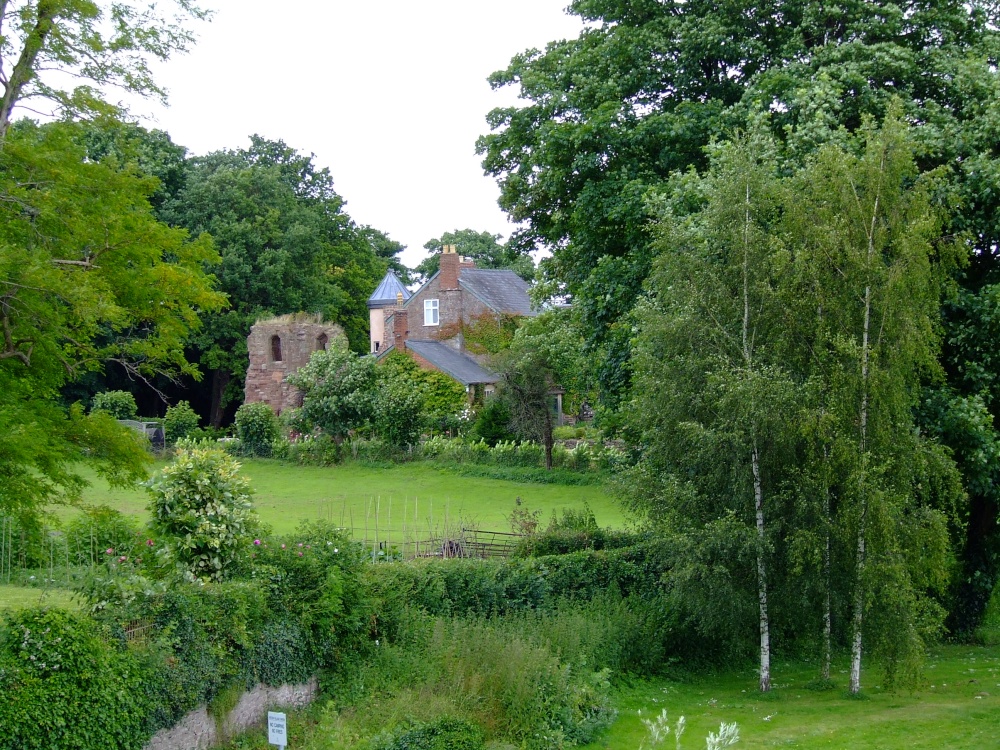 Photograph of An addition to the garden