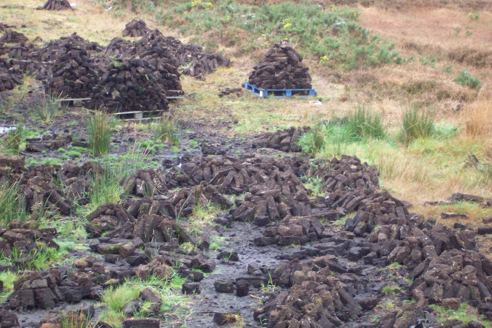 Peat bog near Foxford