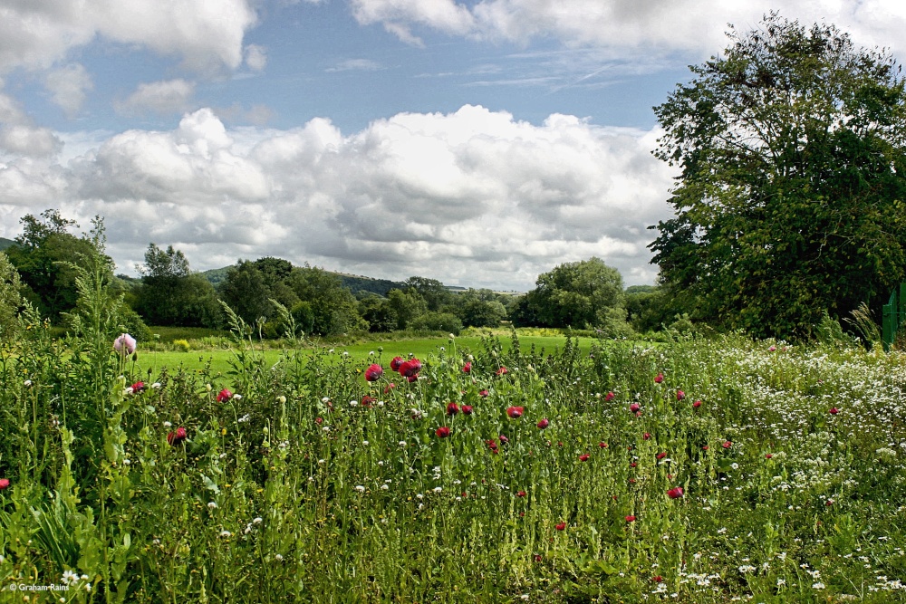 Shillingstone in Dorset