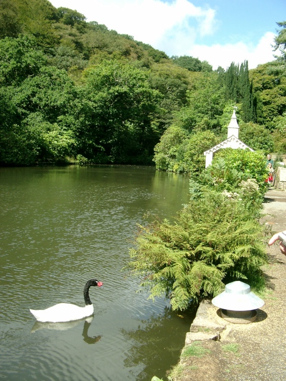 The lake in Trevarno Gardens