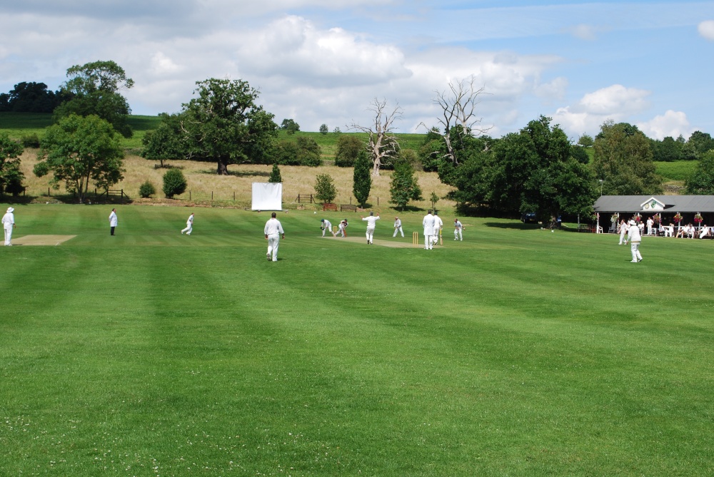 Sunday afternoon cricket
