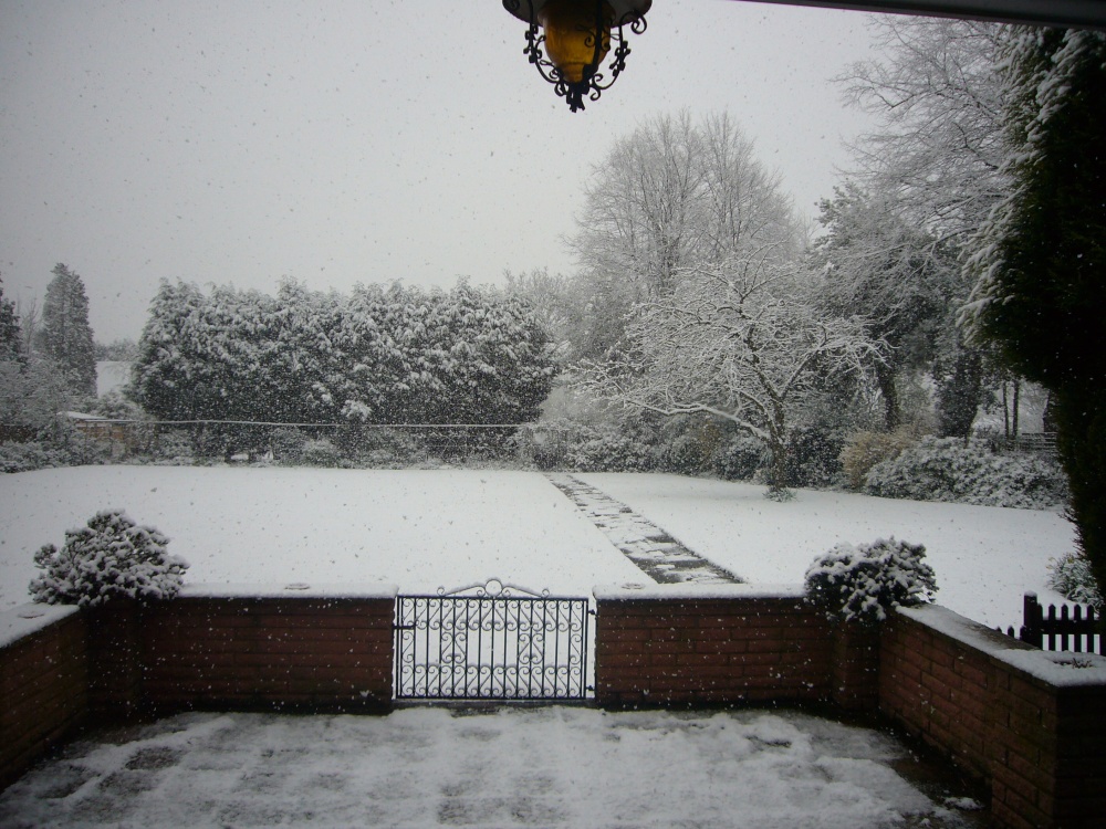 Photograph of April Snowstorm