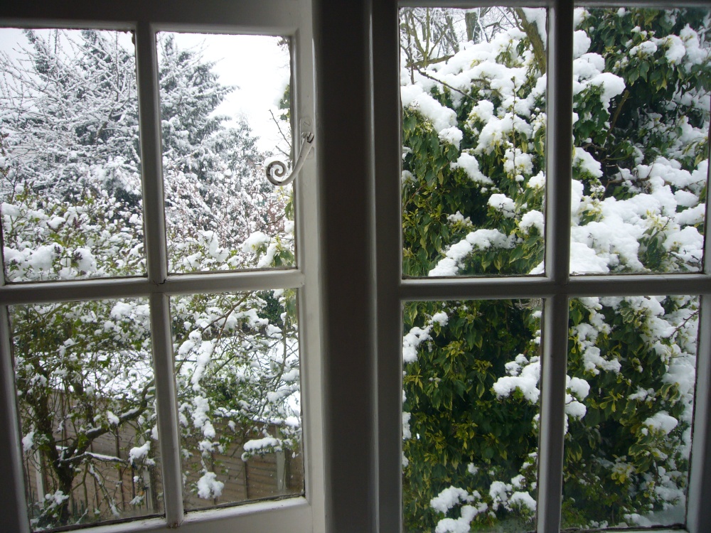 Photograph of After the snowstorm