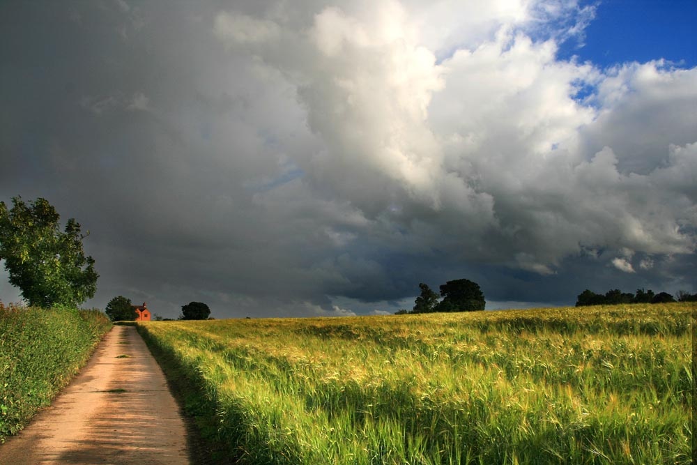 Prelude to the Storm