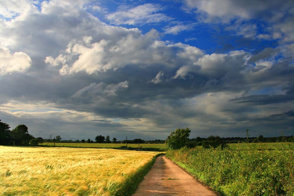 Prelude to the Storm 2