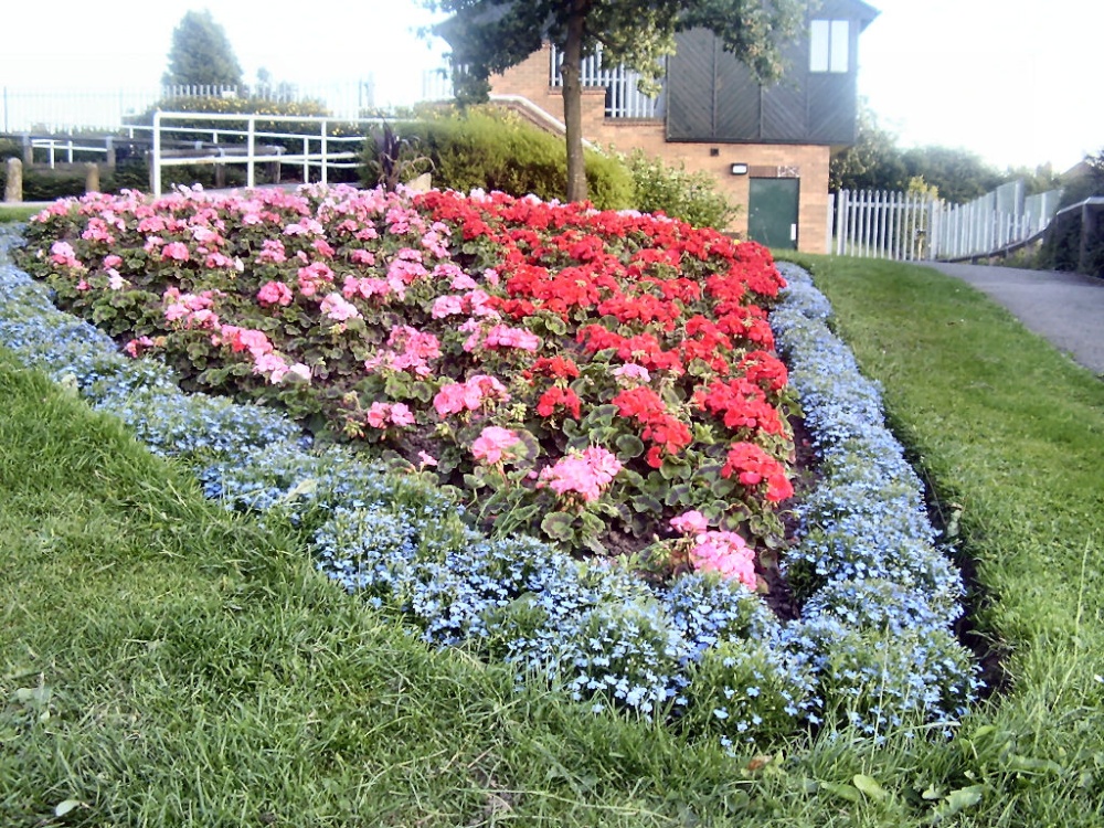 Photograph of Queen Elizabeth Park