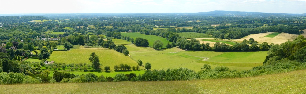 Reigate & Colley Hill, Reigate, Surrey photo by Trevor Webster