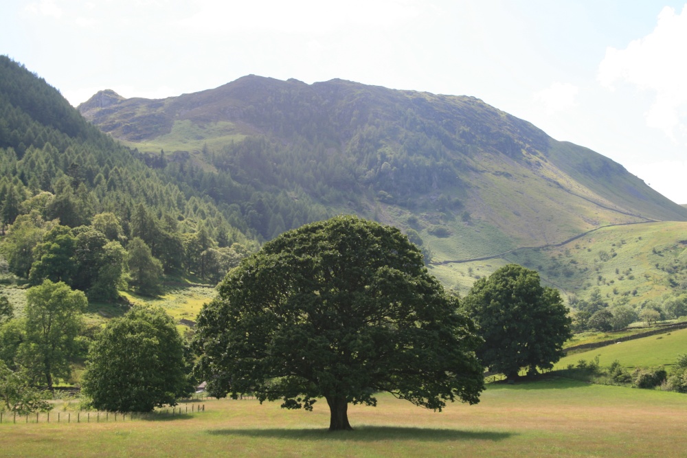 The fields and fells around Glencoyne Bay, Ullswater. English Lakes.