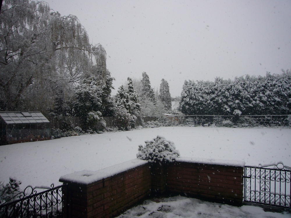 Photograph of The snowstorm