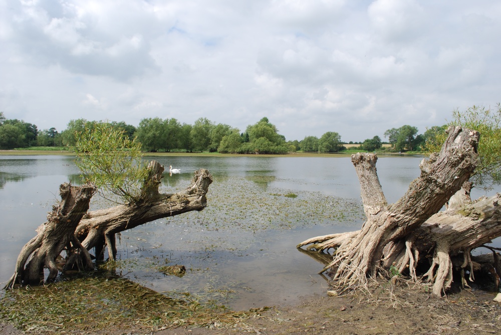 Saddington Reservoir