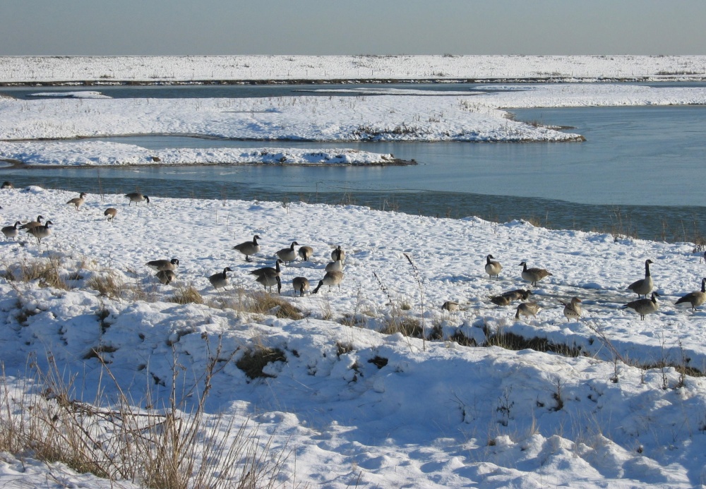 Winter at Freiston Shore