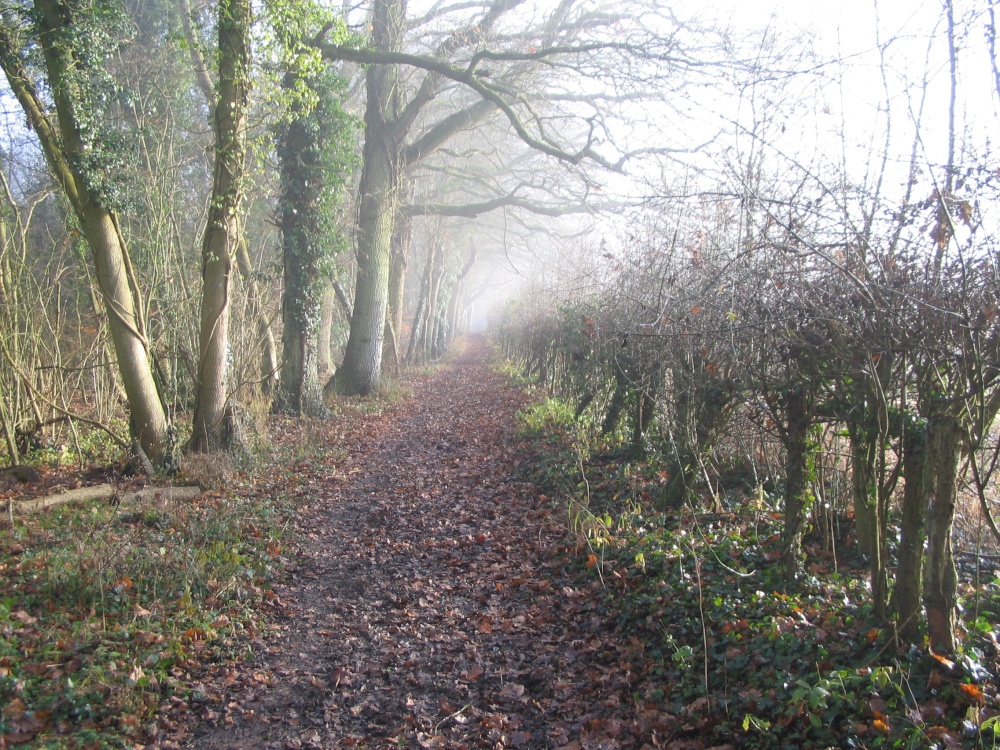 Footpath between Up Nately & Greywell
