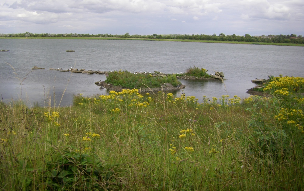 Anglers Country Park photo by Barbara Whiteman