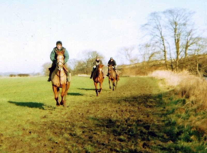 Photograph of The Gallops
