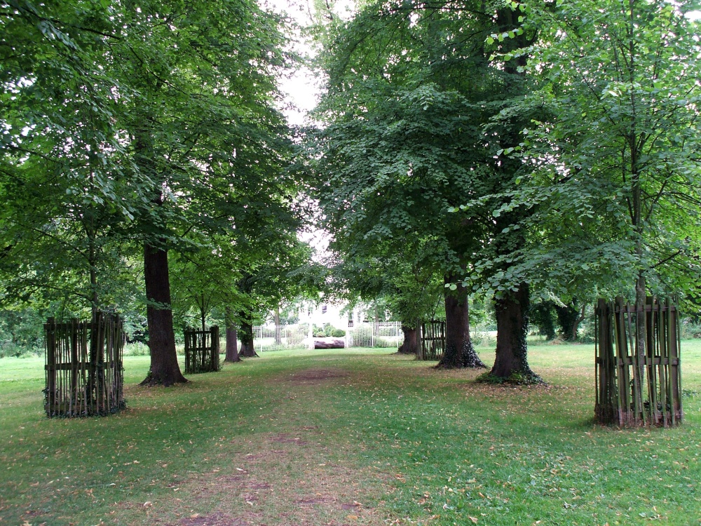 Photograph of Morden Hall Park