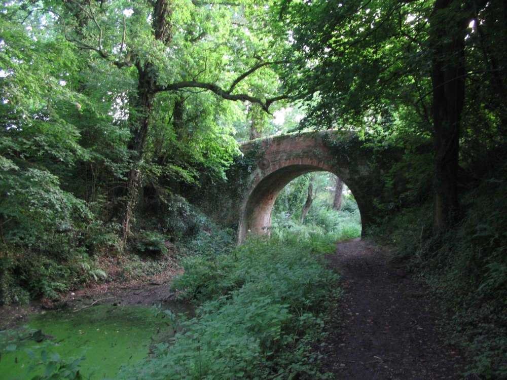 Basingstoke Canal, Up Nately