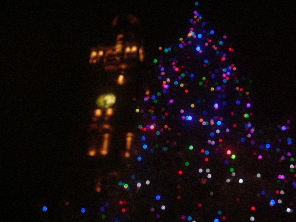 Sheffield tree outside the Town Hall in November 2005