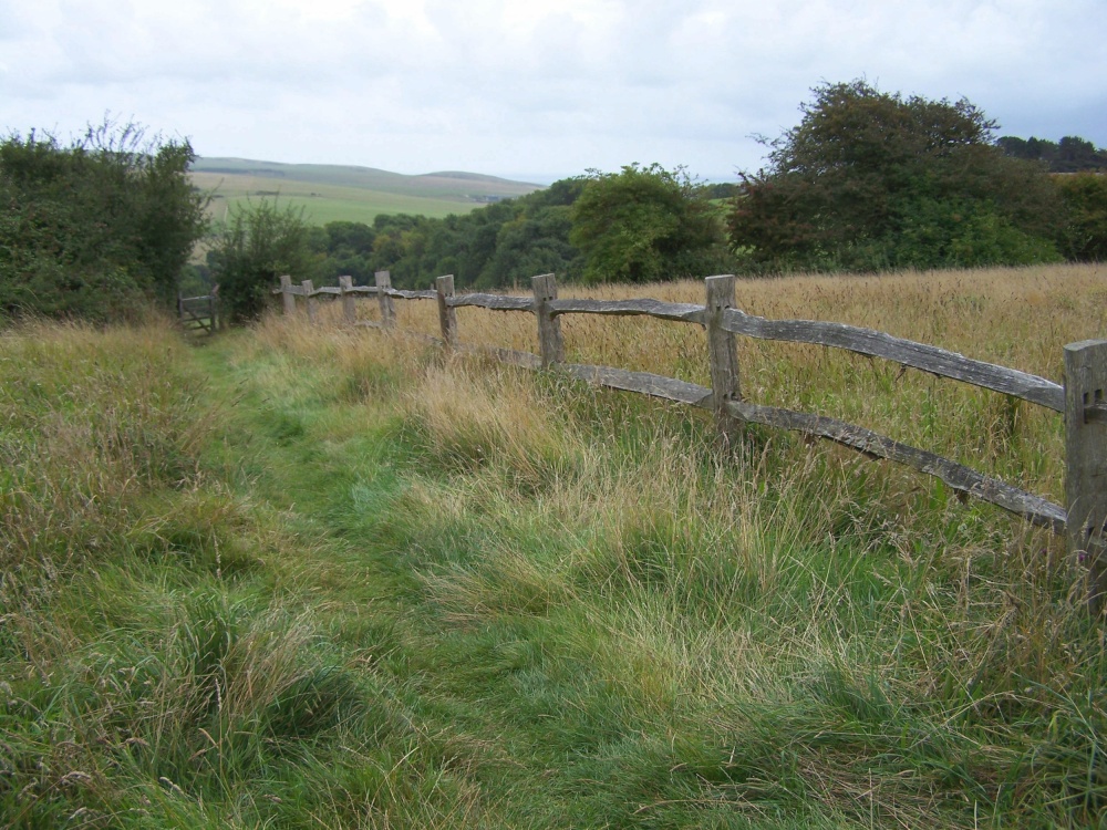 Photograph of Looking over the Downs towards the sea from Jevington Church