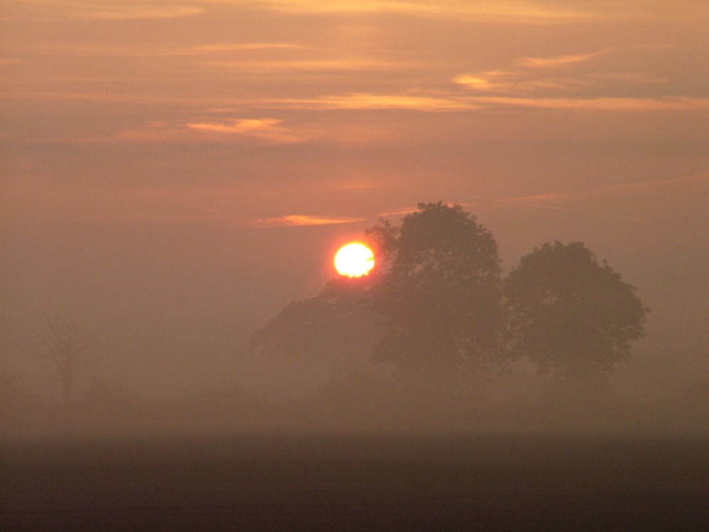 Dawn over Horham
