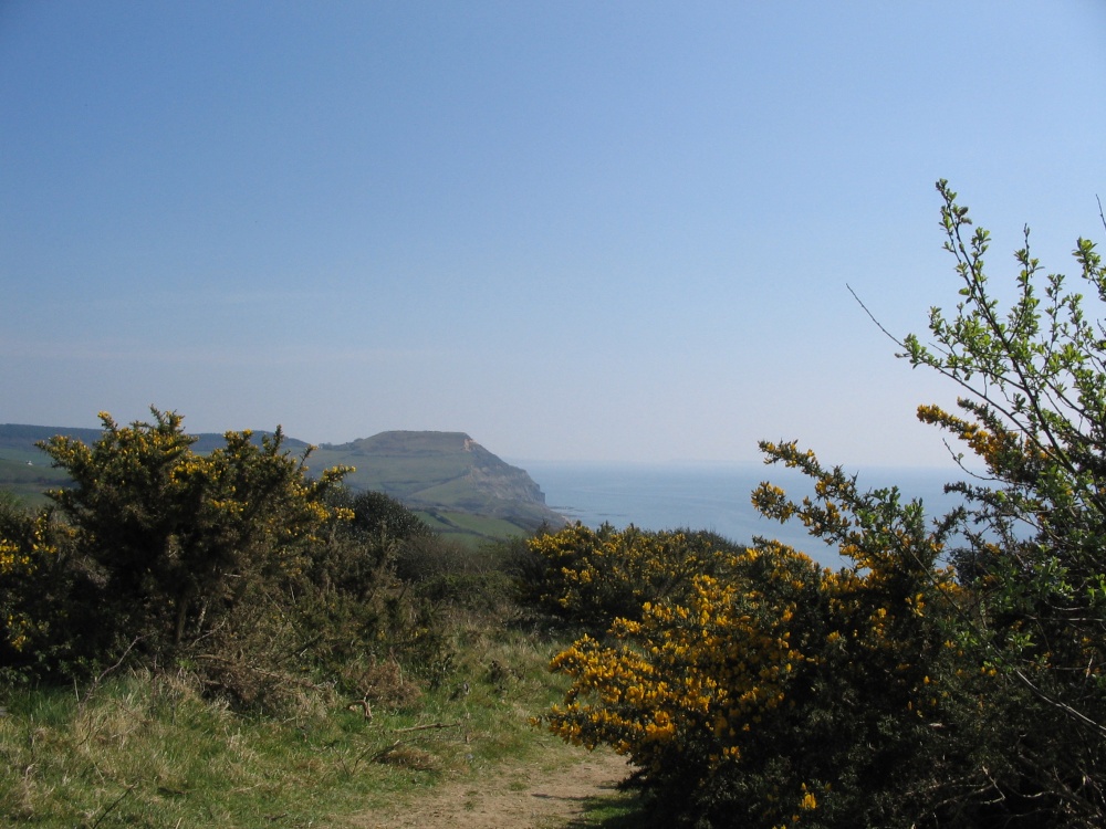 Golden Cap in the distance