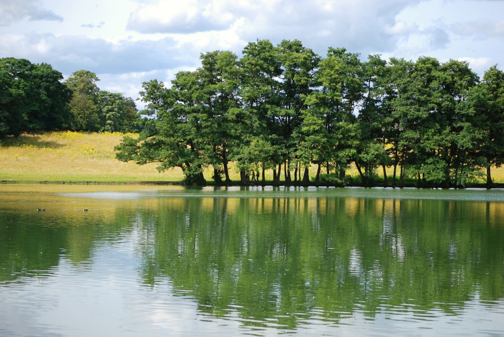 Reflections in the lake