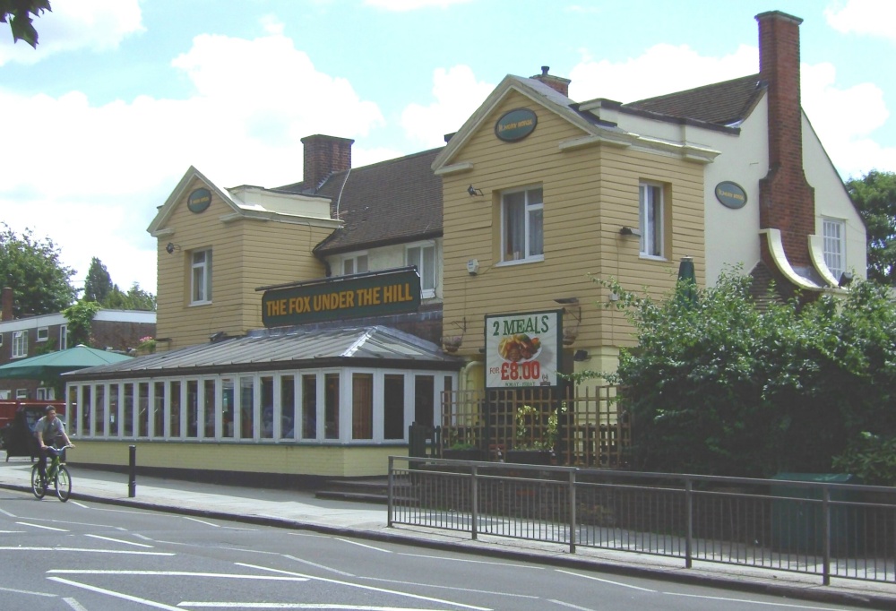 Photograph of The Fox Under The Hill