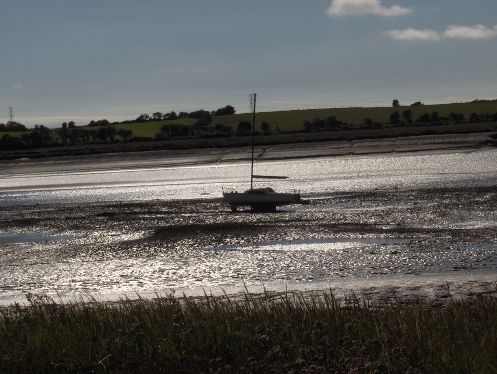 Wardley's Creek near Hambleton