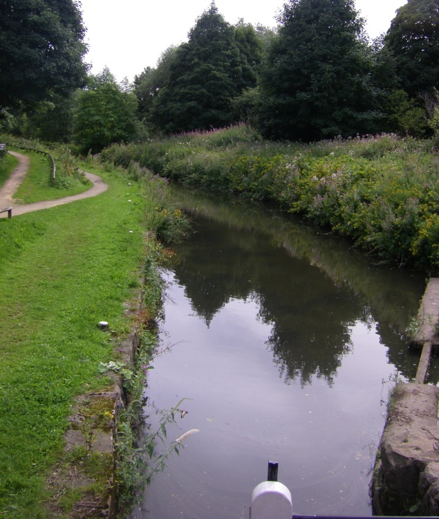 Chesterfield Canal near Tapton