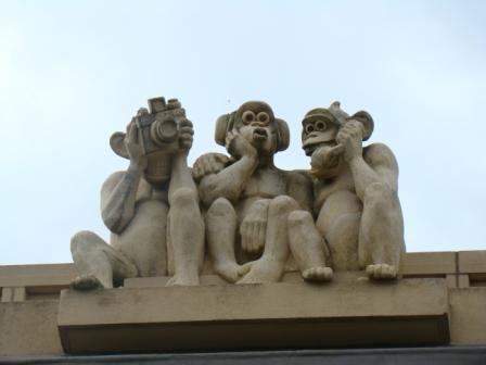 Waterloo Park Monkeys