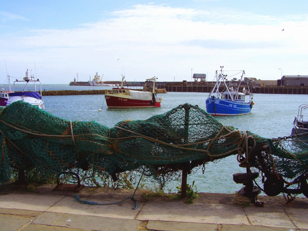 Nets hung out to dry
