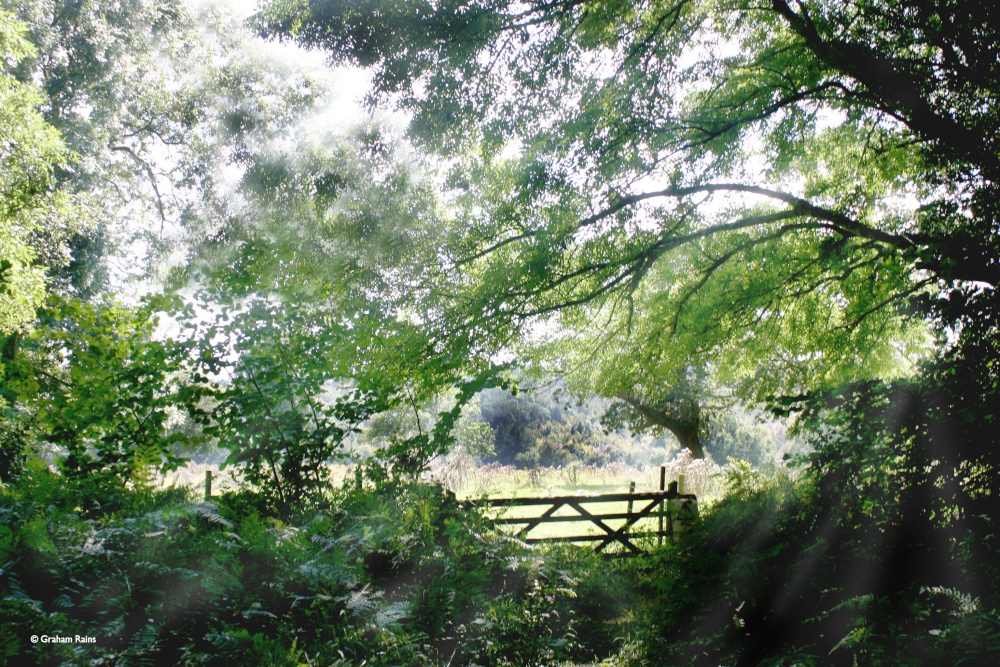 Shillingstone in Dorset