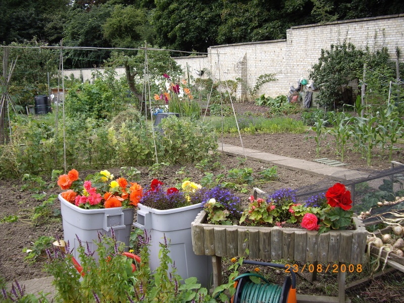 The Allotments