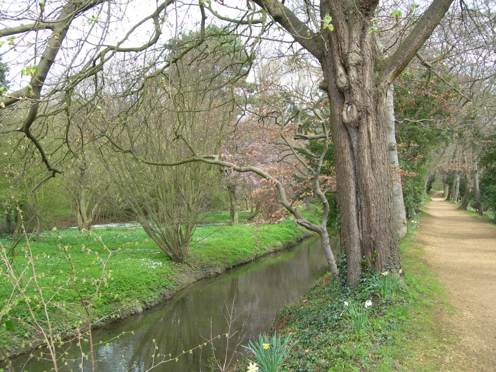 Addison's Walk in the grounds of Magdalen College, Oxford
