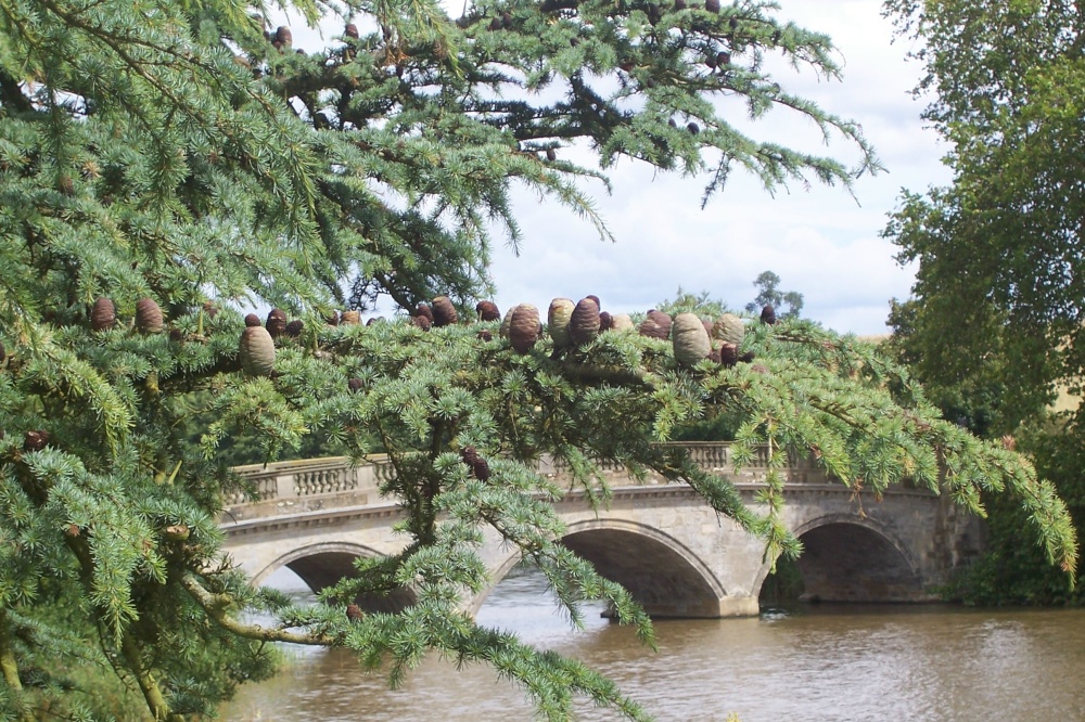 Photograph of Compton Verney