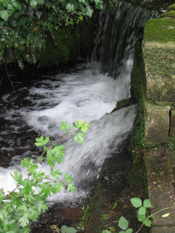 Clear running water!