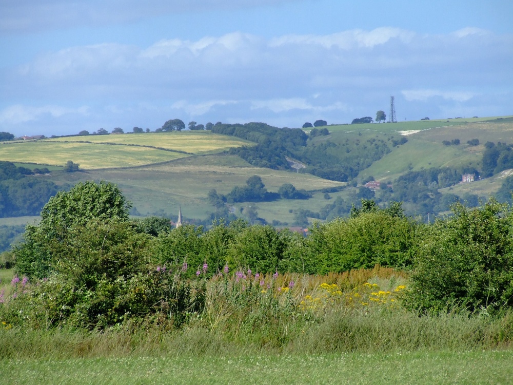 Countryside near Bishop Wilton