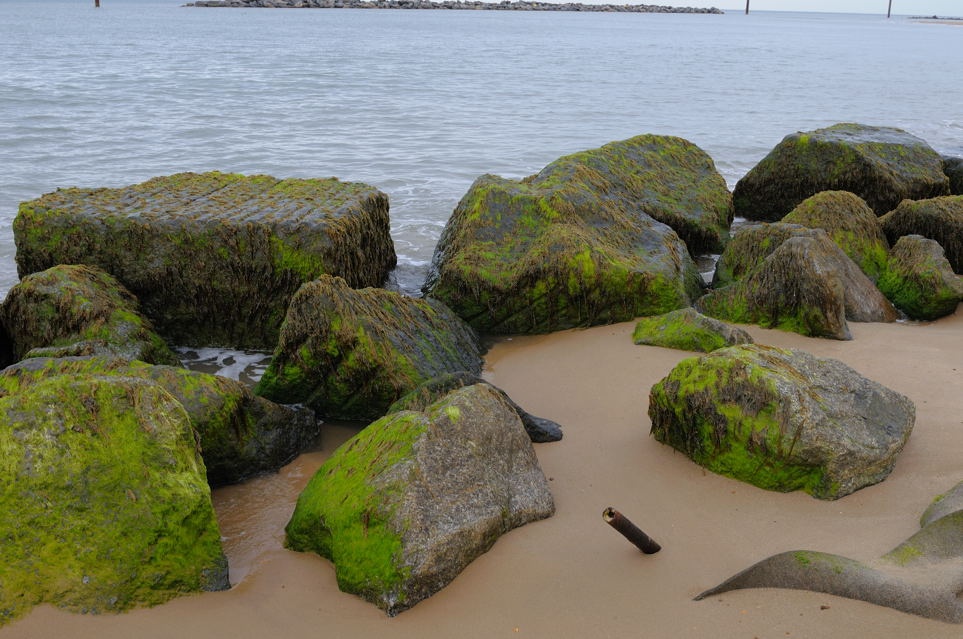 Rocks near Sea Palling