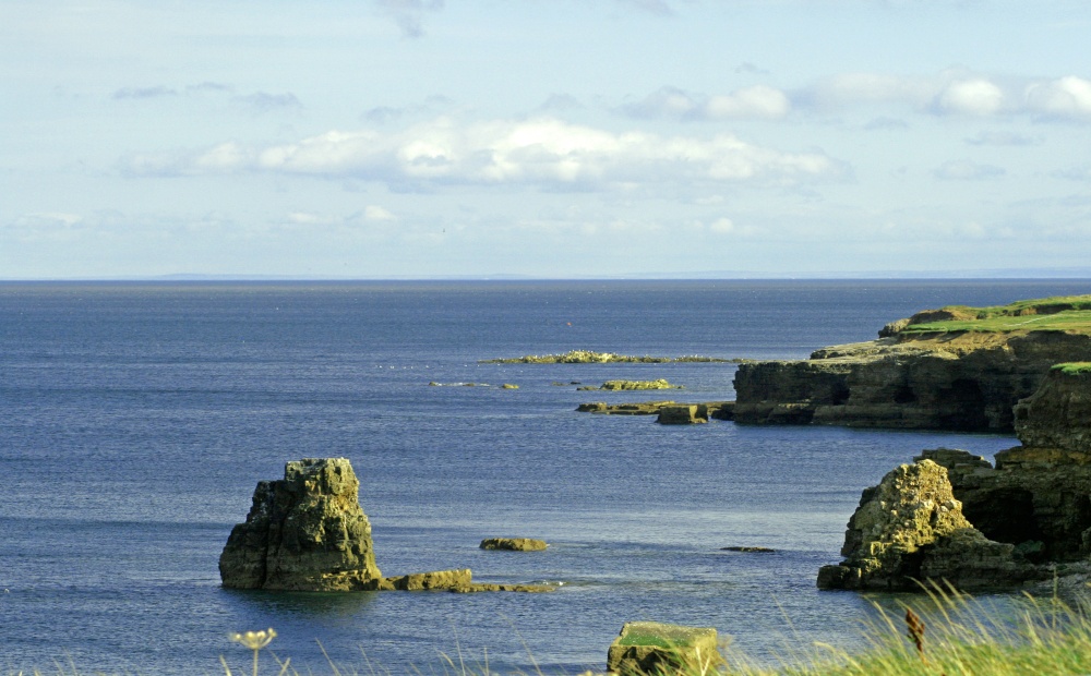 Coast line and calm sea at Whitburn.