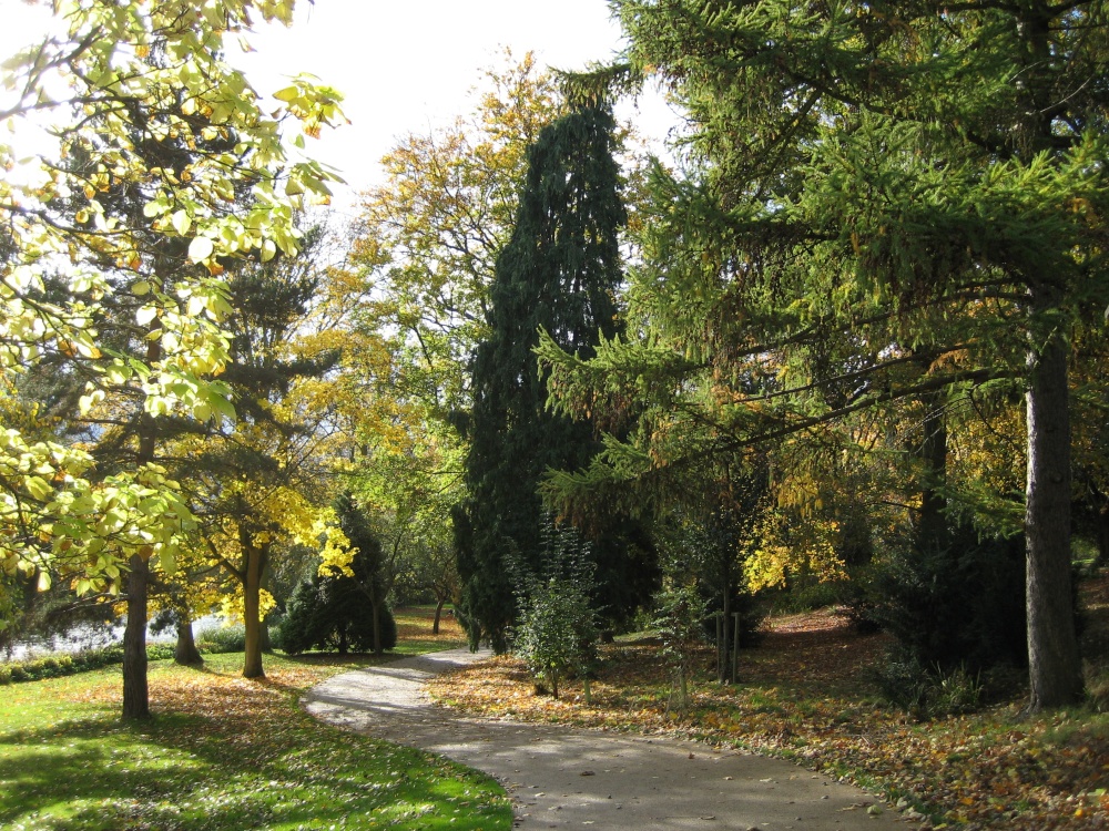 Photograph of Autumn in the park